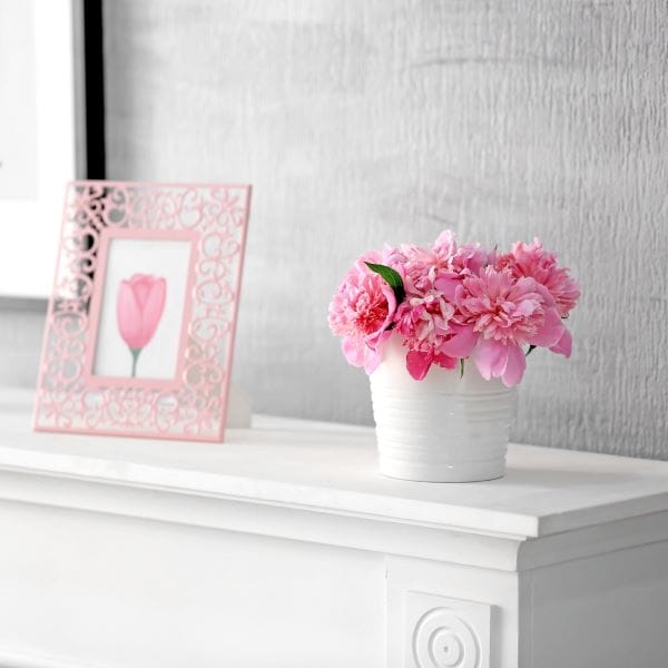 Peonia in vaso in casa