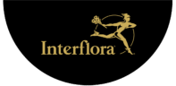 Il blog di Interflora: consigli, idee e ispirazione per godersi fiori e piante