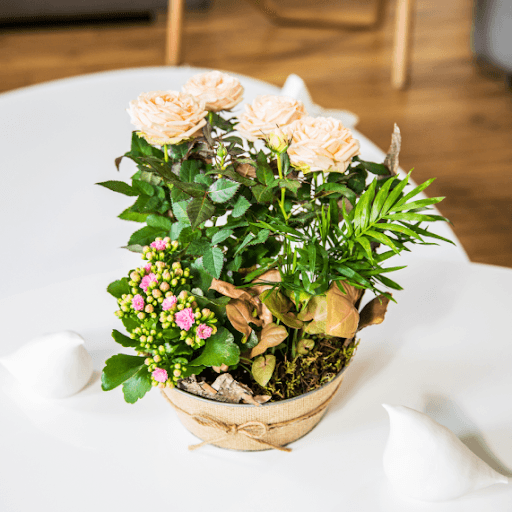Rose rosa fiori secchi autunnali per composizioni in vaso con fiocco