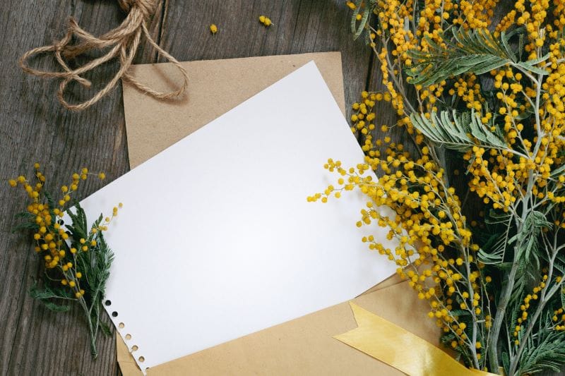 Foglio bianco sopra una busta da lettera con mimose