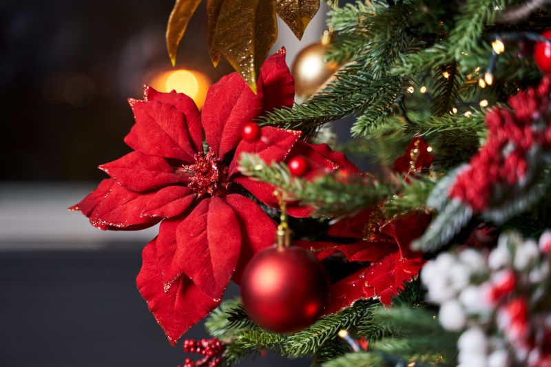 Fiori per l’albero di Natale