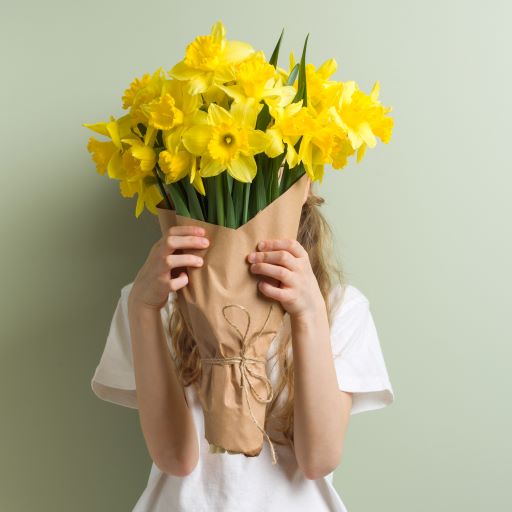 Narcisi