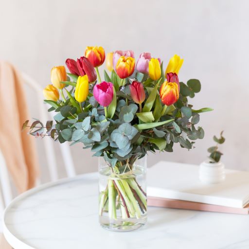 Tulipani