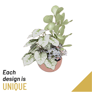 Planted Bowl-Arrangement
