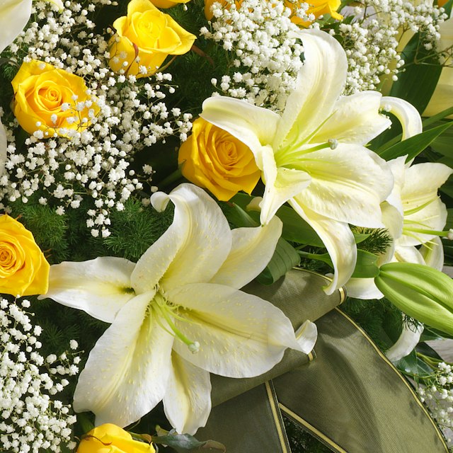 Cuscino Giallo