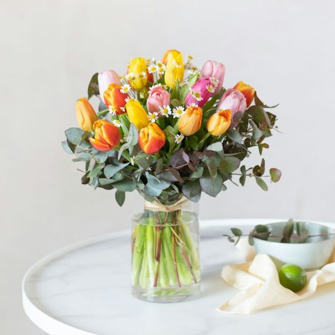 Quando regalare i tulipani