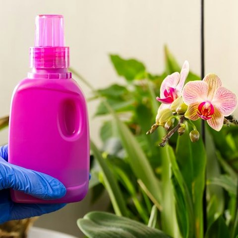 3. Fertilizzante e substrato