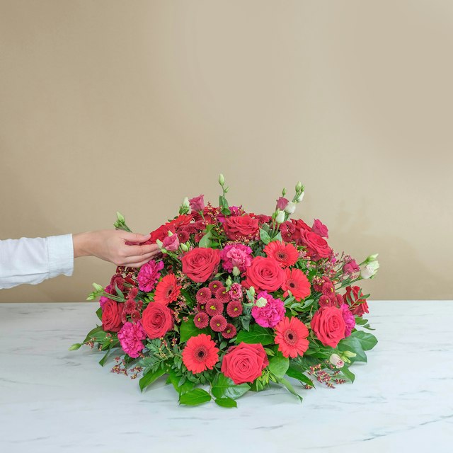 Omaggio Rosso