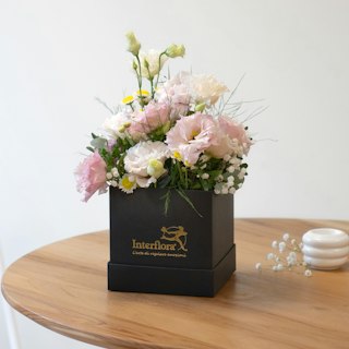 Auguri Delicati