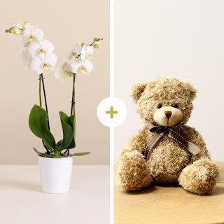 Orchidea Bianca con Orsetto