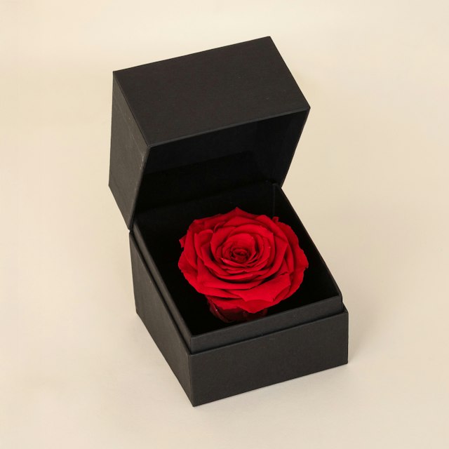 Rosa Eterna