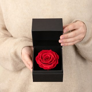 Rosa Eterna