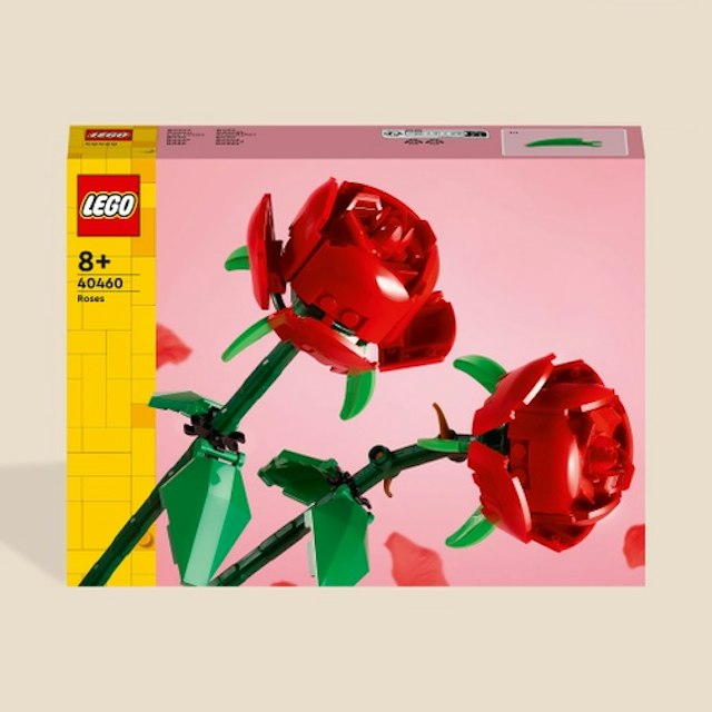 Amore per Sempre LEGO®