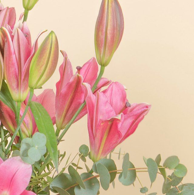 Bouquet di Gigli Rosa