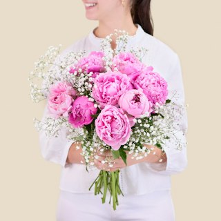 Peony Dream