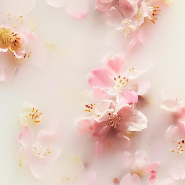 Gesto d'amore con RITUALS