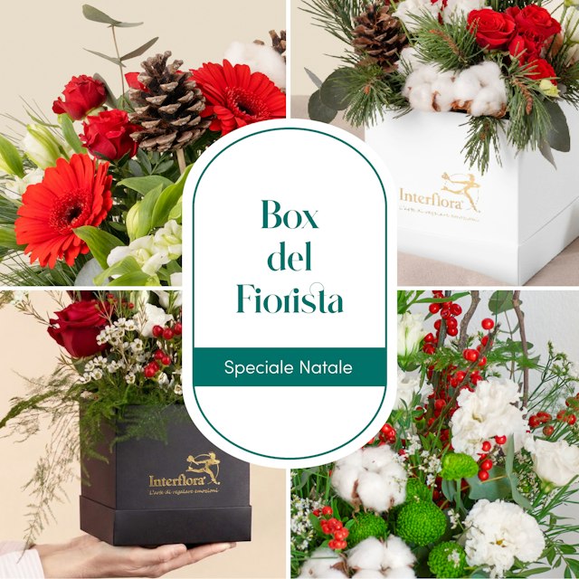 Box natalizia del fiorista