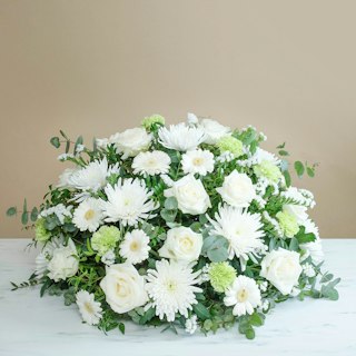 Omaggio Bianco