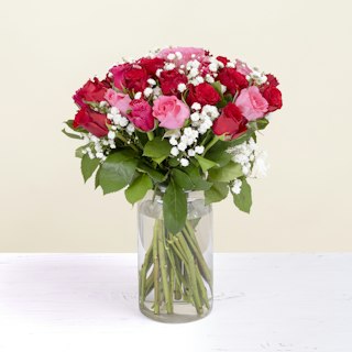 Roselline Rosse e Rosa